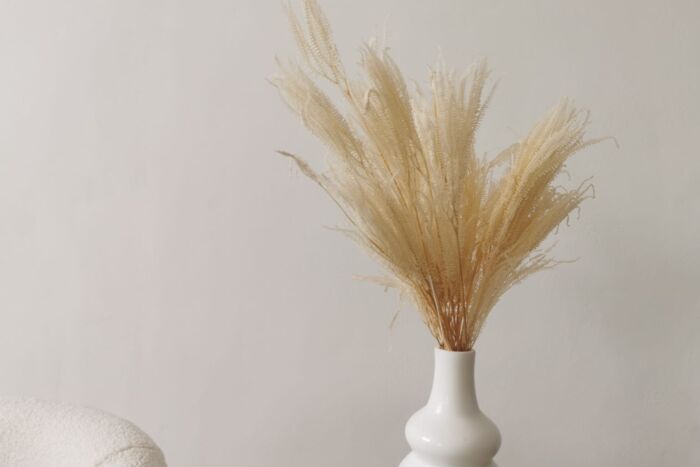 Helecho Decorativo - Imagen 3
