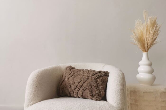 Helecho Decorativo - Imagen 2